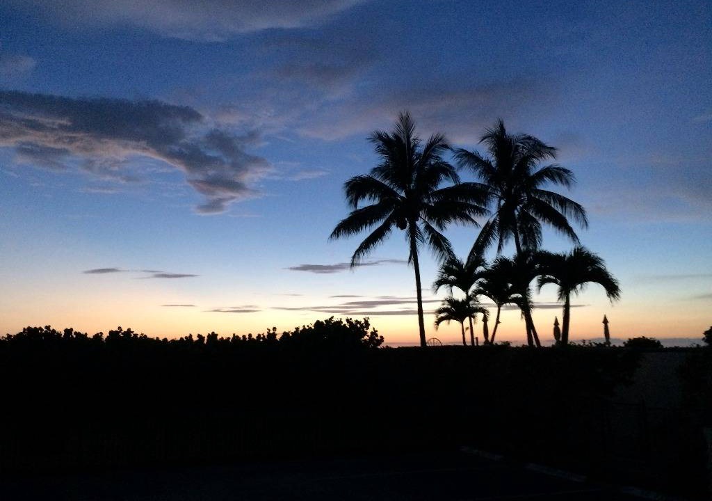 Photo of Others in Marco Island