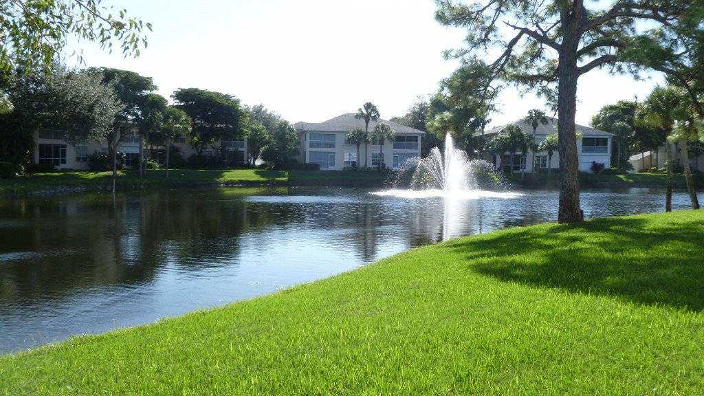 Photo of Others in North Naples