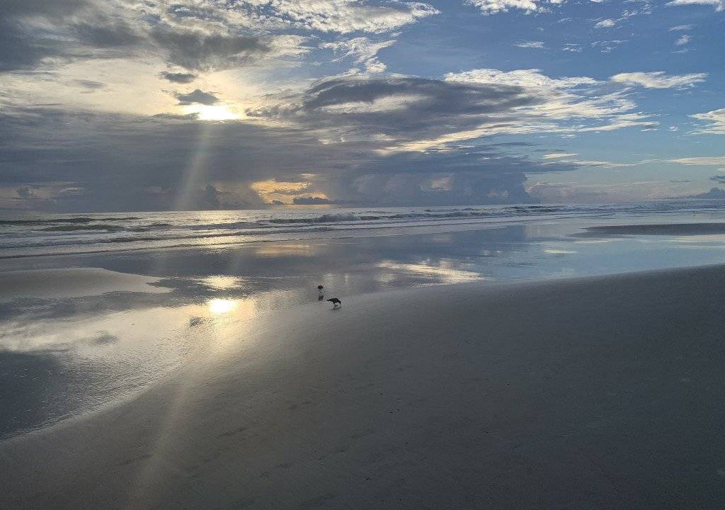 Photo of Others in Ponce Inlet