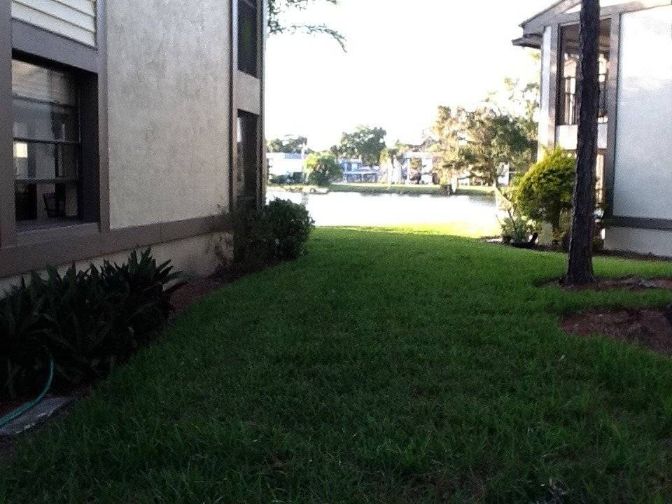 Photo of Others in Oldsmar