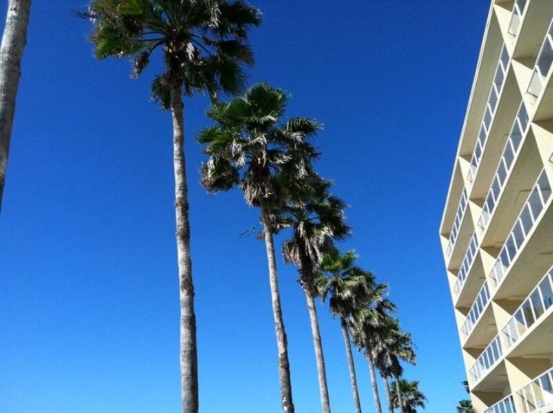 Photo of Others in Longboat Key