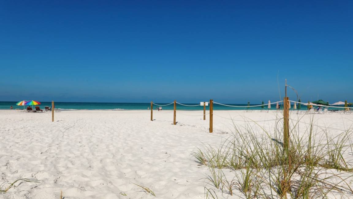 Photo of Others in Siesta Key