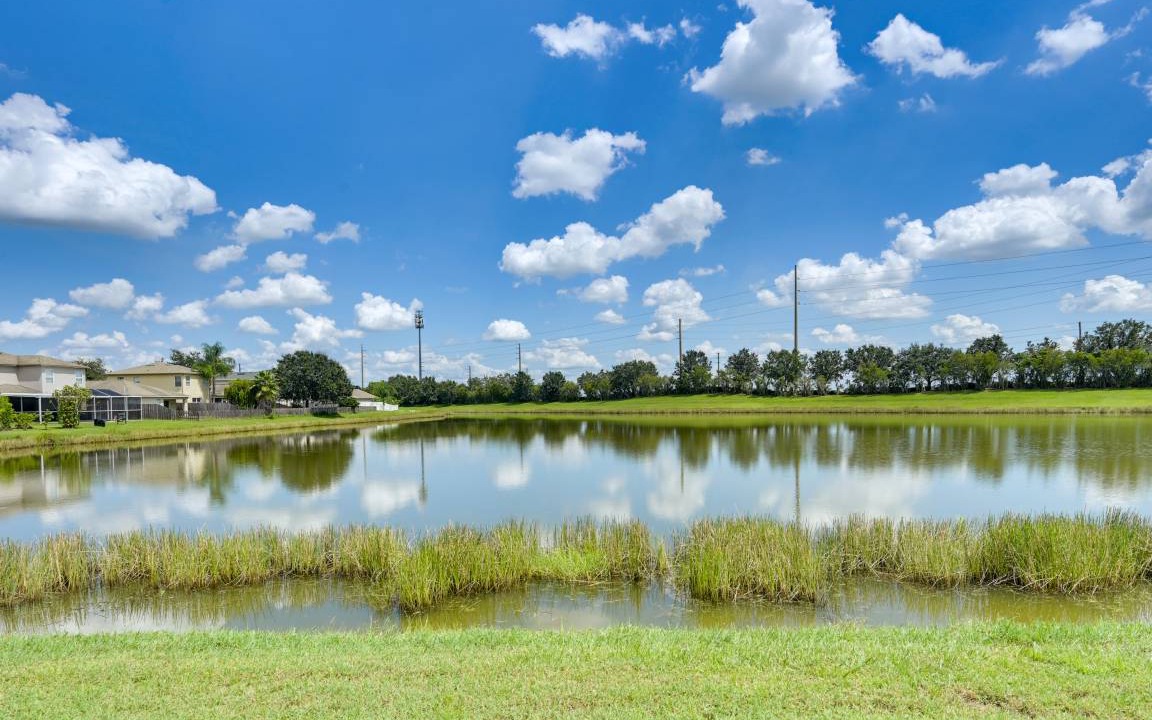Photo of Others in Wesley Chapel South