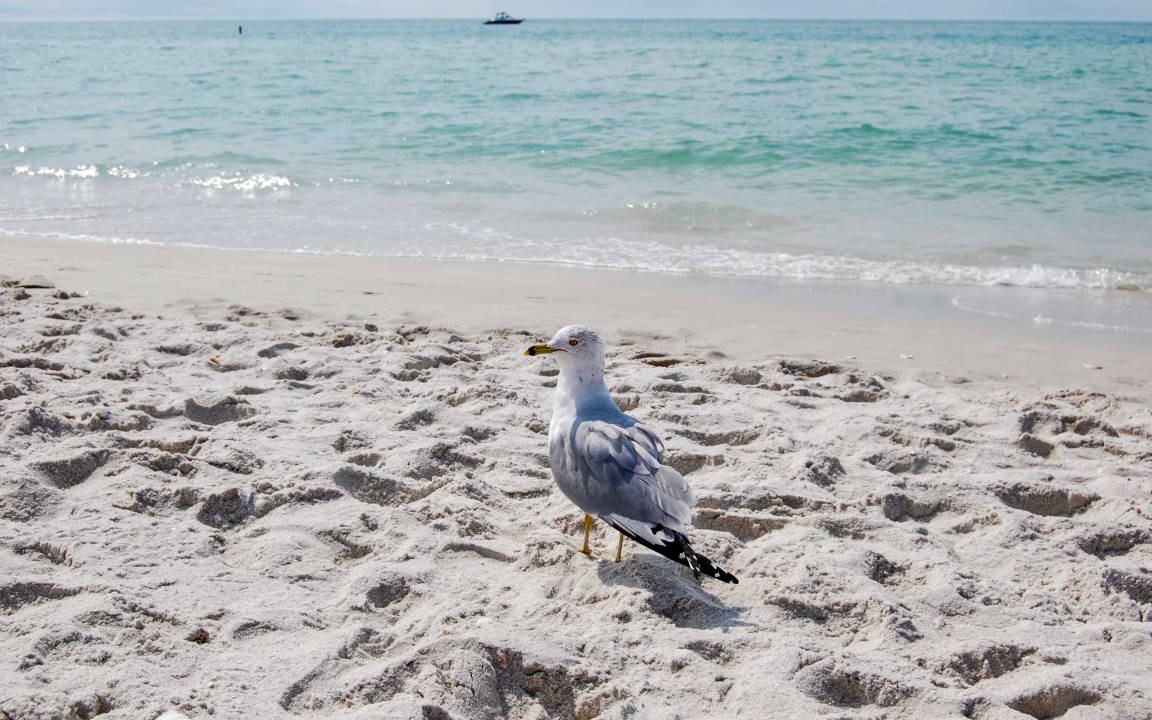 Photo of Others in Naples Park