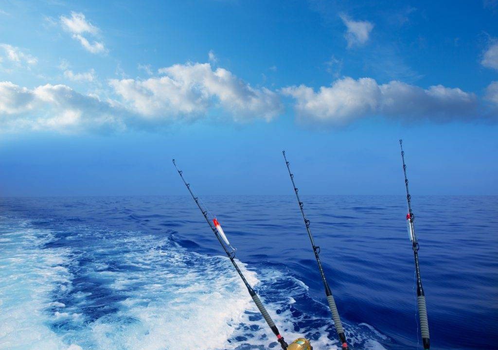 Photo of Others in Sandestin