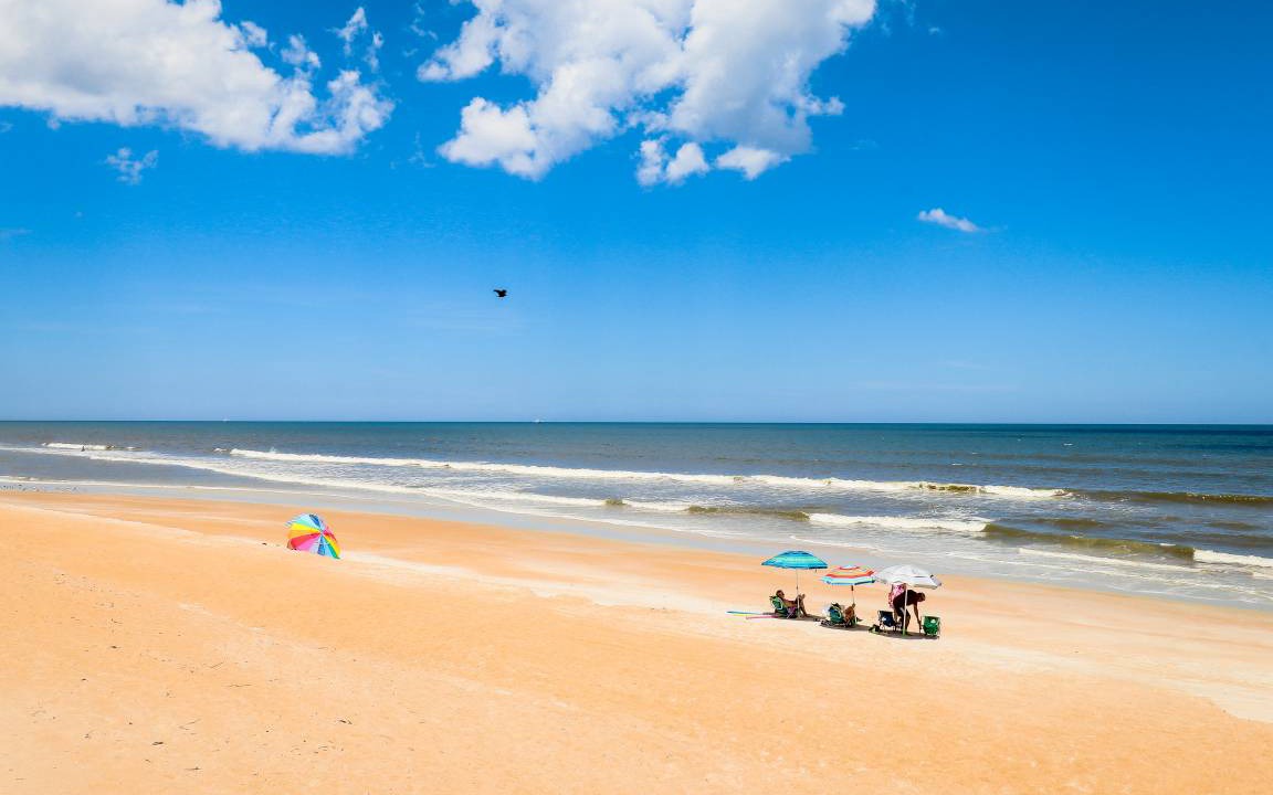 Photo of Others in Ormond-by-the-Sea