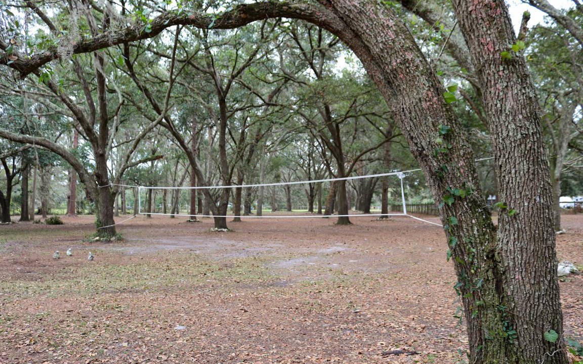 Photo of Others in Valrico