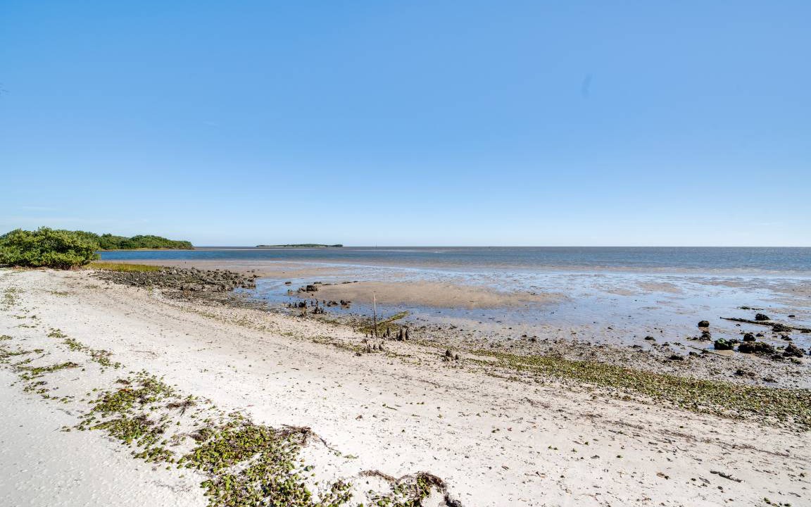 Photo of Others in Cedar Key