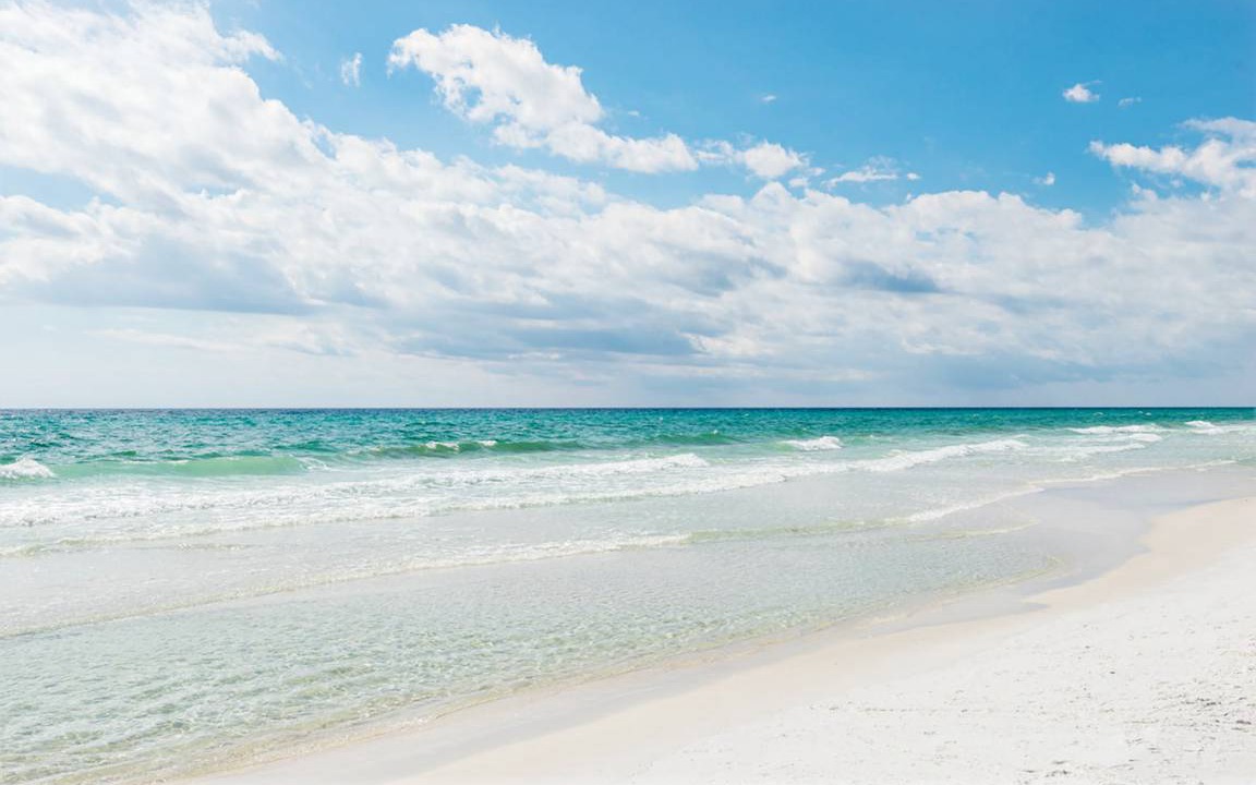 Photo of Others in Dune Allen Beach