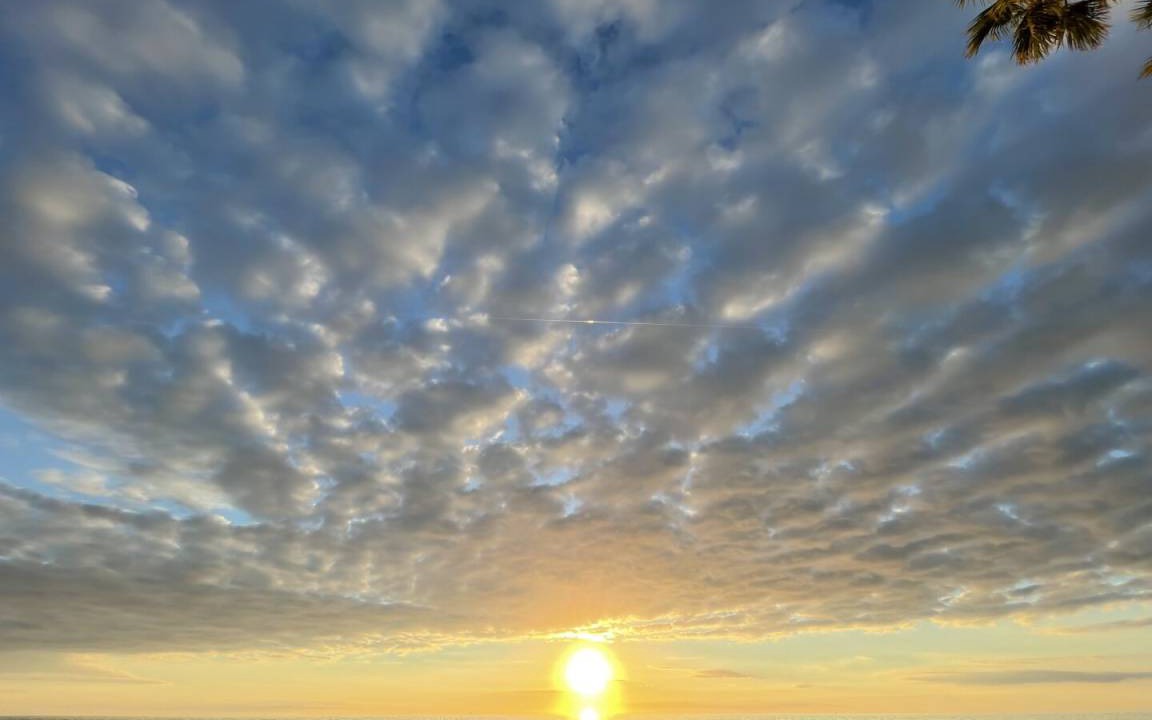 Photo of Others in Longboat Key