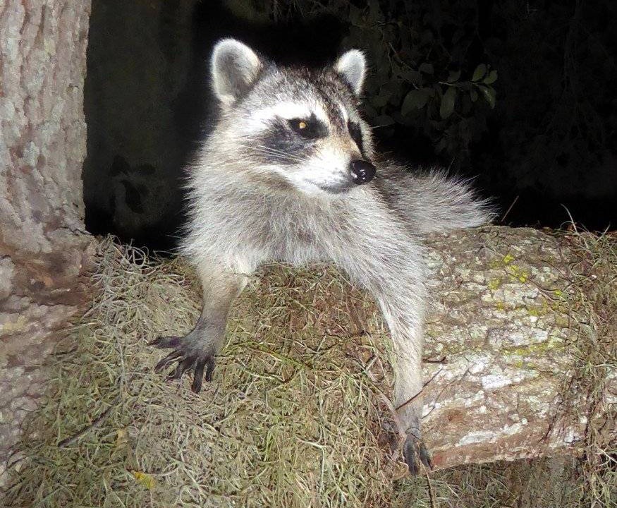 Photo of Others in Nokomis