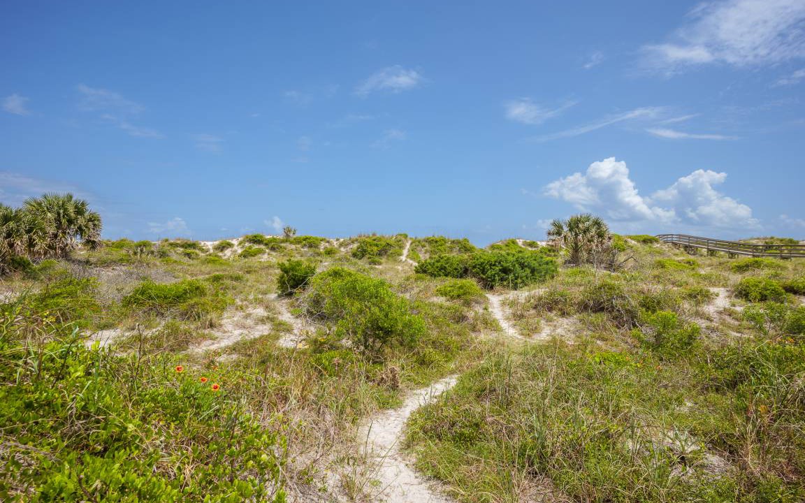 Photo of Others in Butler Beach