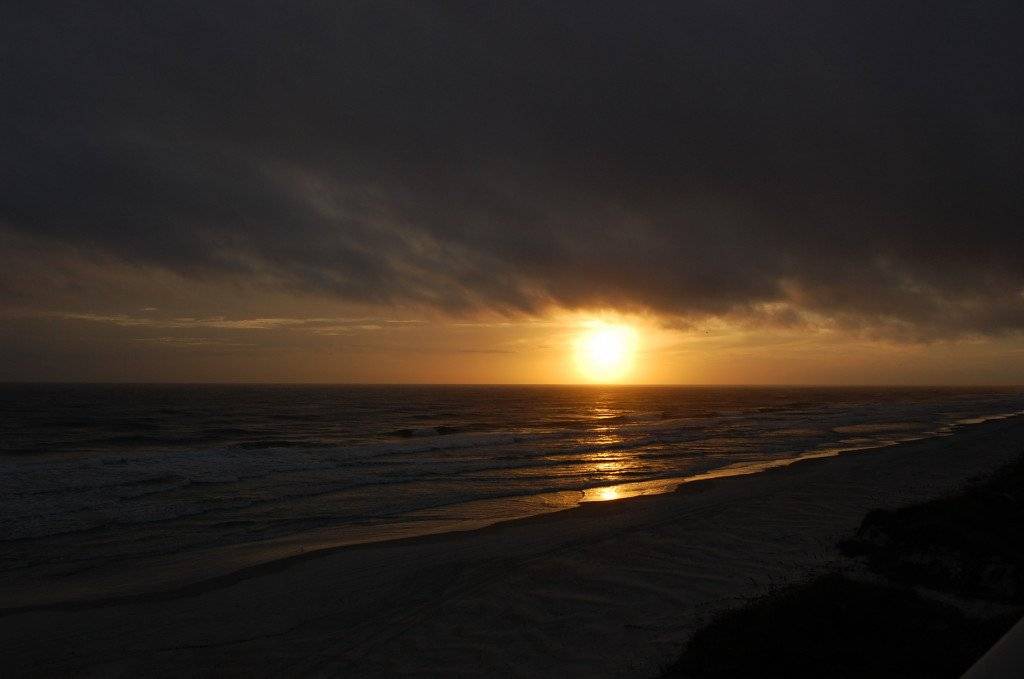 Photo of Others in Ponce Inlet