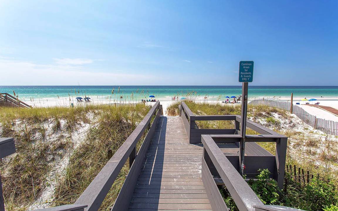 Photo of Others in Gulf Pines
