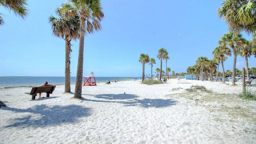 Photo of Others in Palm Harbor