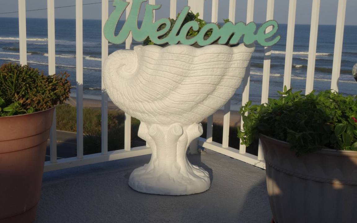 Photo of Others in Flagler Beach