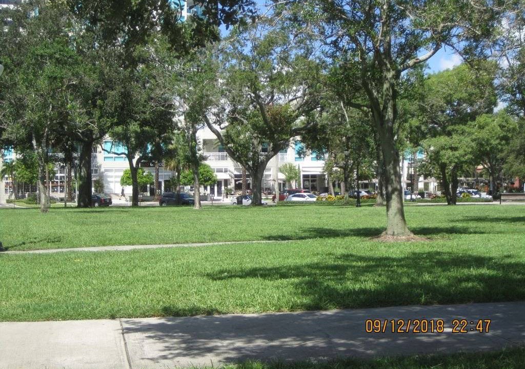 Photo of Others in St. Petersburg - Clearwater