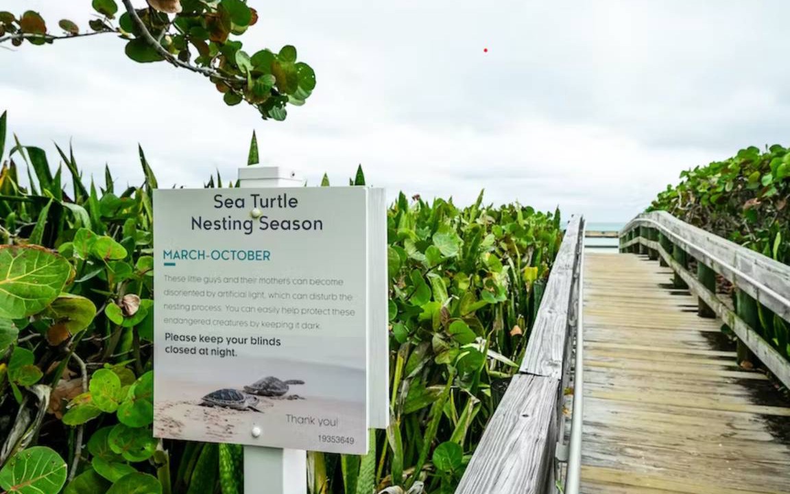 Photo of Others in Florida North Atlantic Coast