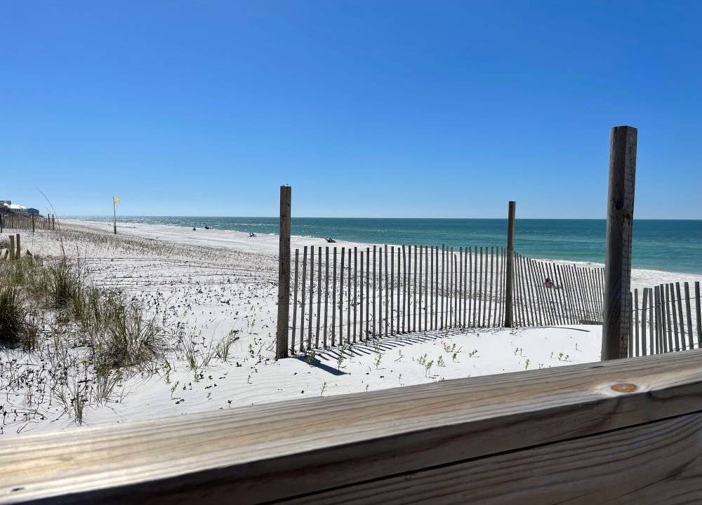 Photo of Others in Cape San Blas