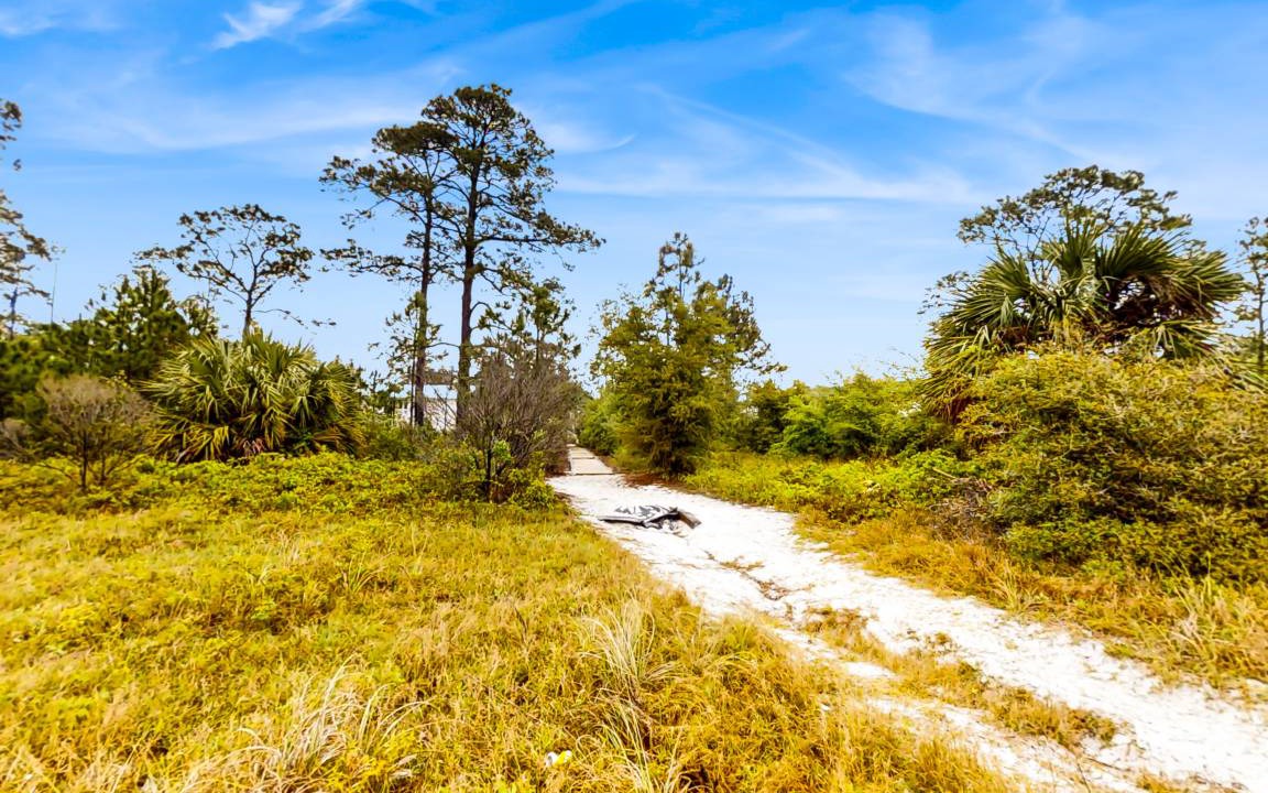 Photo of Others in Carrabelle