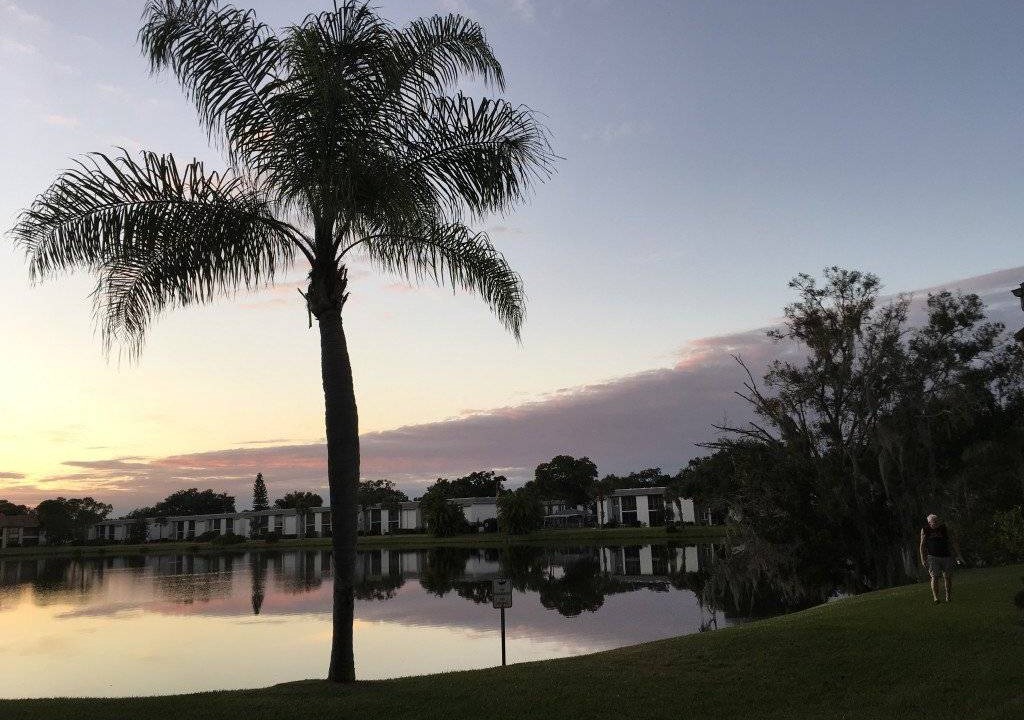 Photo of Others in Oldsmar