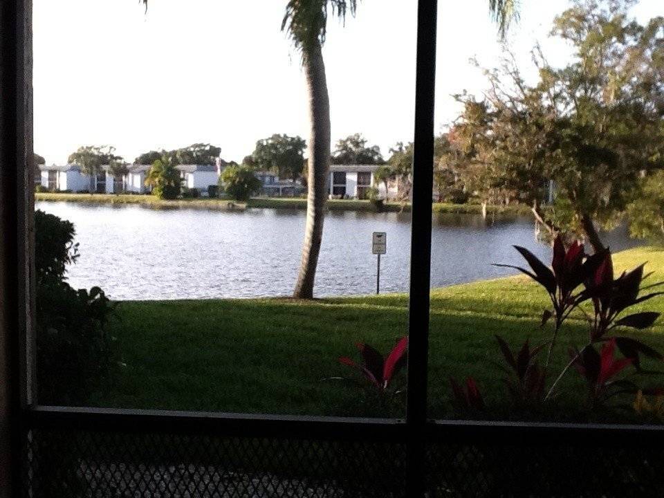 Photo of Others in Oldsmar
