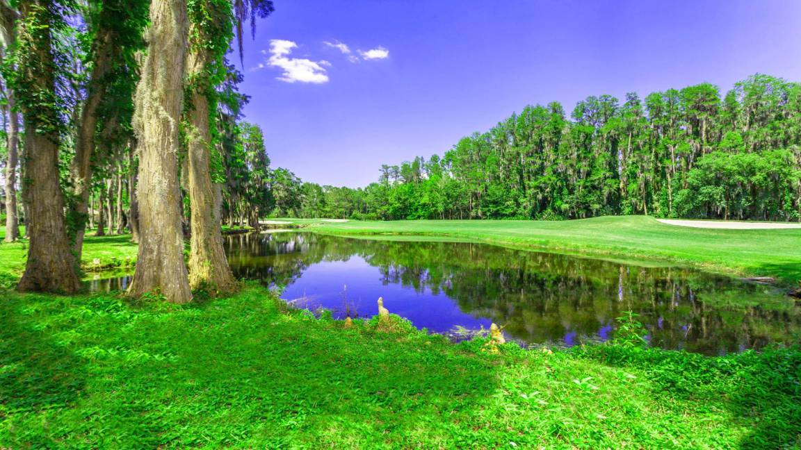 Photo of Others in Saddlebrook