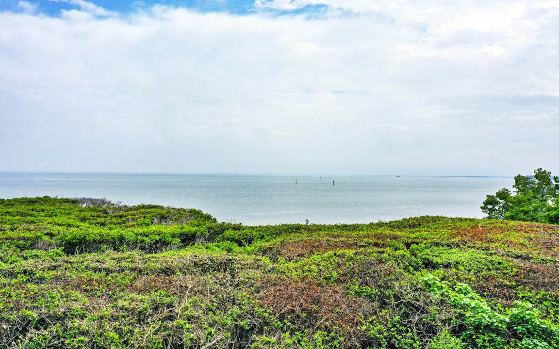 Photo of Outdoor in Captiva