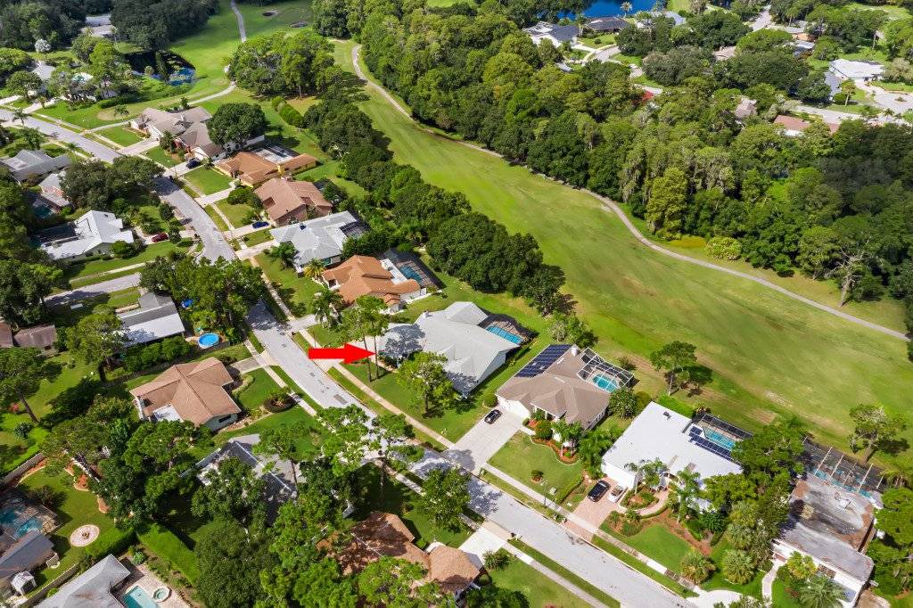 Photo of Others in Palm Harbor