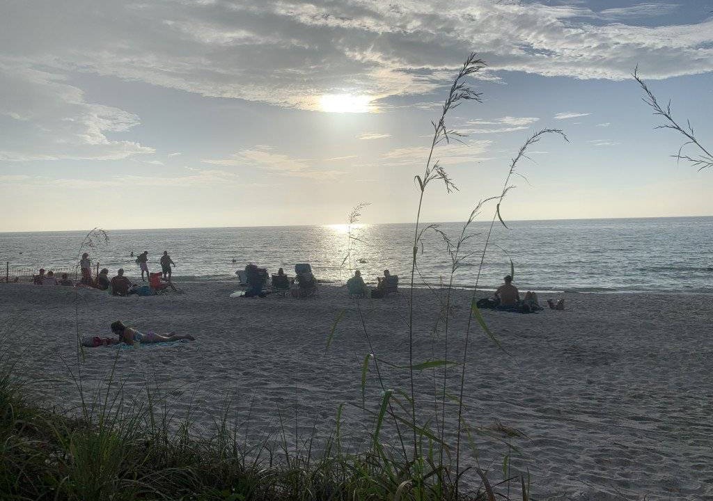 Photo of Others in North Naples