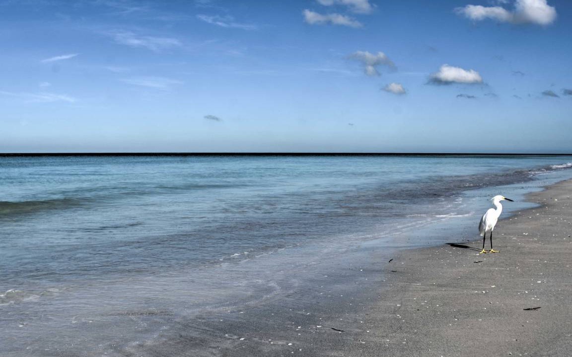 Photo of Others in Indian Shores