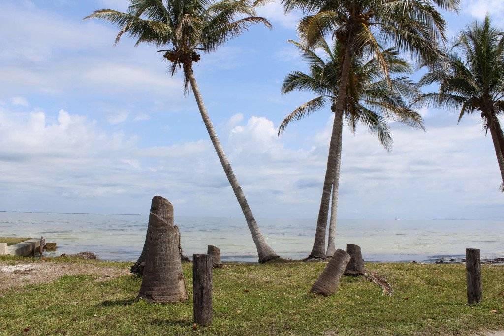 Photo of Others in Bokeelia