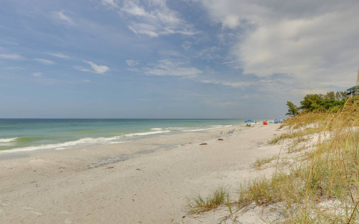Photo of Others in Indian Rocks Beach