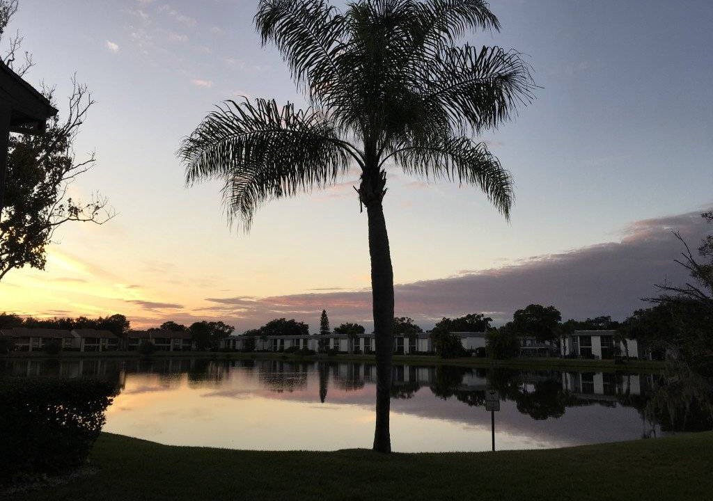 Photo of Others in Oldsmar