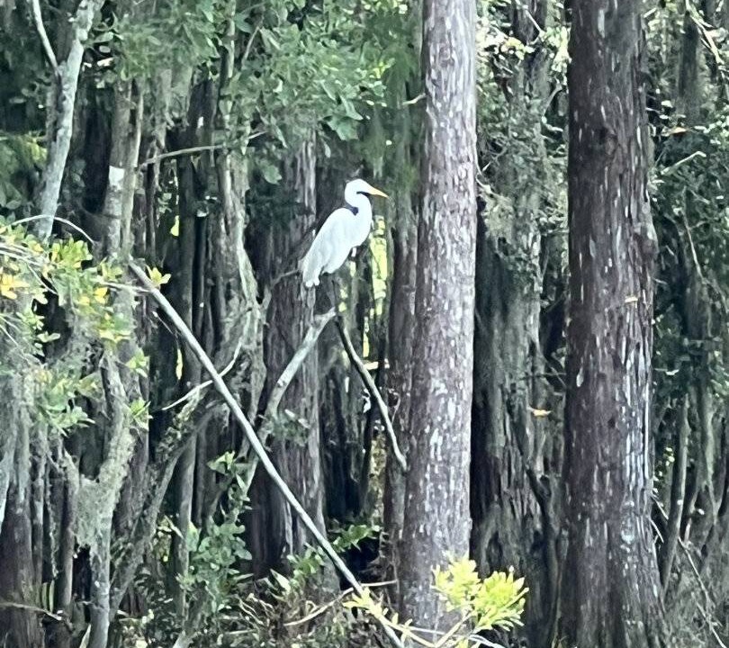 Photo of Others in Immokalee