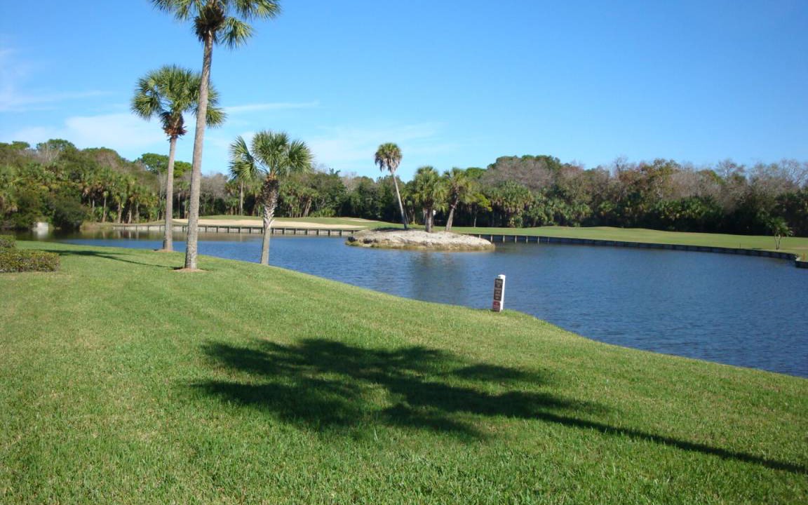 Photo of Others in Plantation