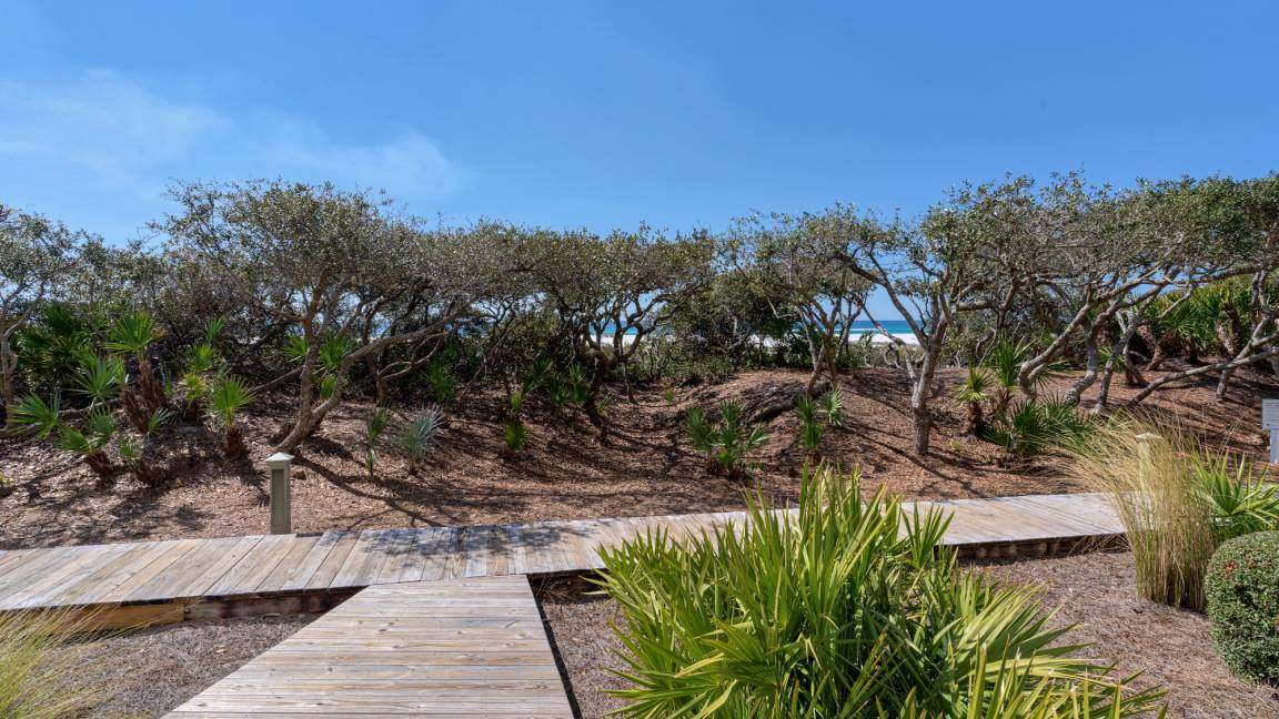Photo of Others in WaterSound Beach