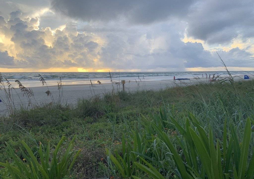 Photo of Others in Ponce Inlet