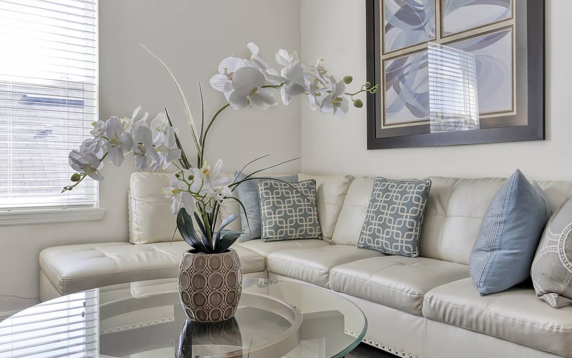 Photo of Livingroom in West Haven