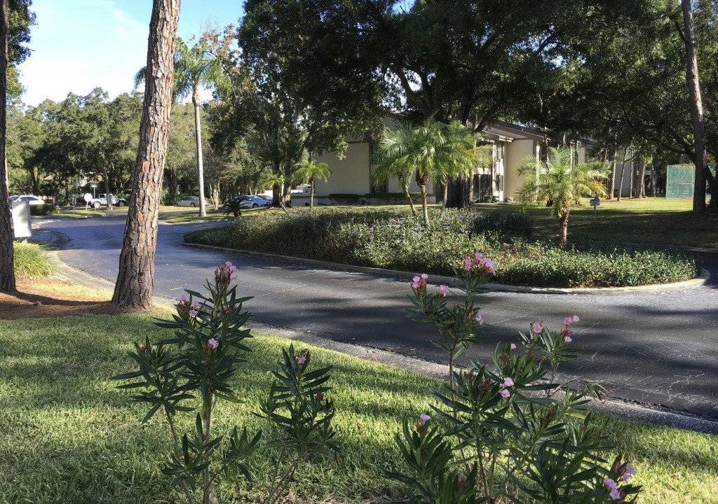 Photo of Others in Oldsmar