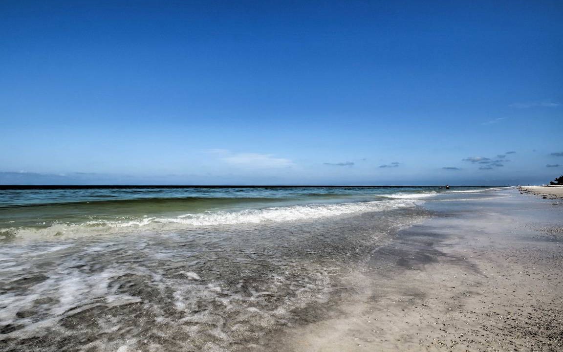 Photo of Others in Indian Shores