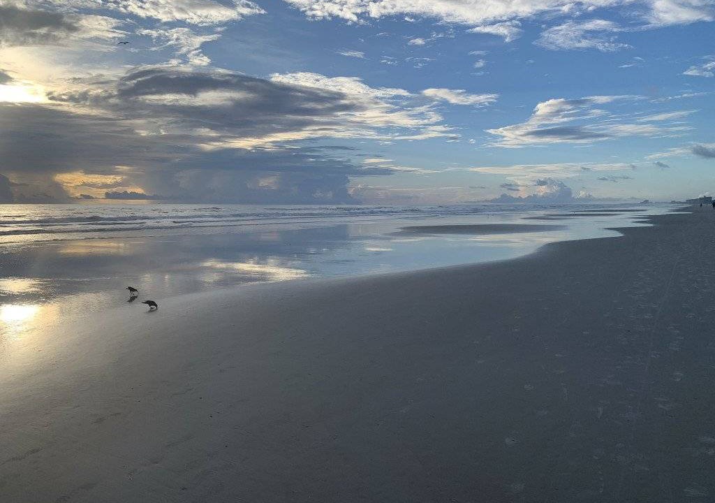 Photo of Others in Ponce Inlet