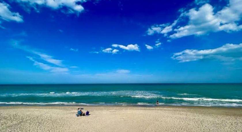 Photo of Others in Indian Harbour Beach