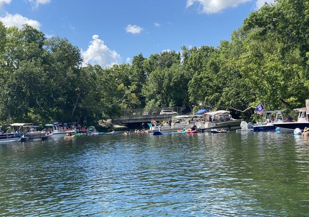 Photo of Others in Homosassa