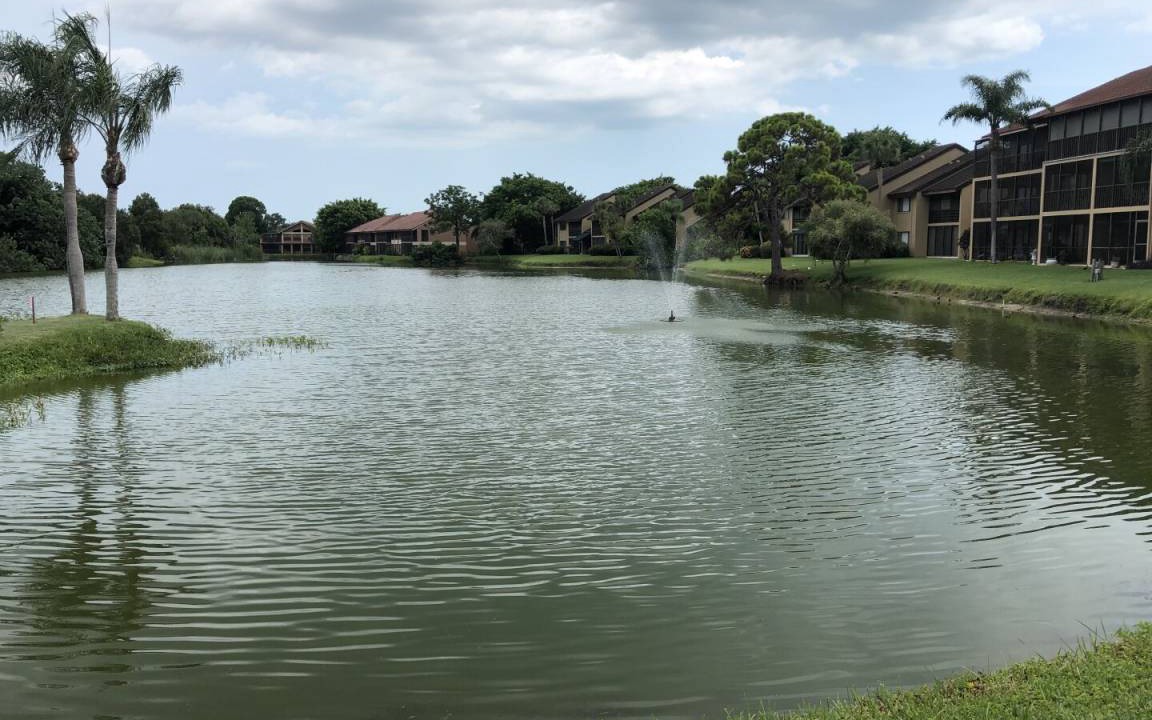 Photo of Others in Gulf Gate Estates