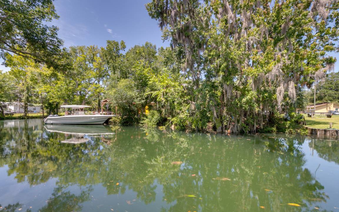Photo of Others in Weeki Wachee Gardens
