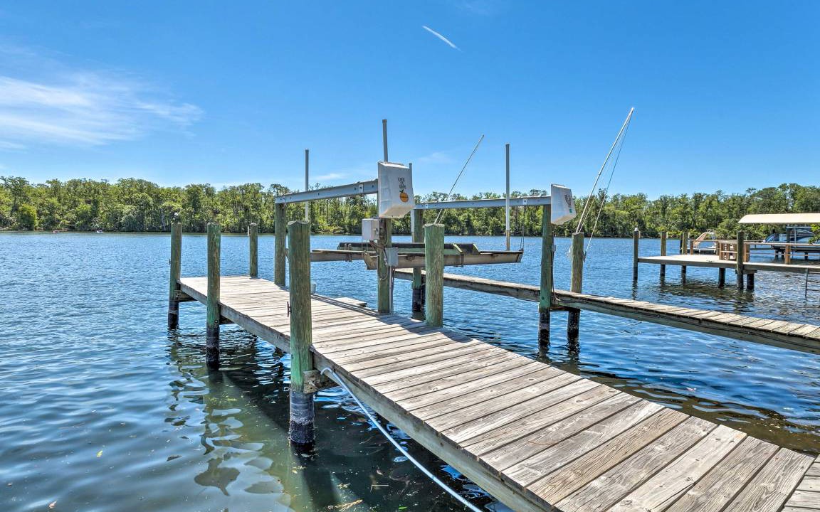 Photo of Others in Homosassa