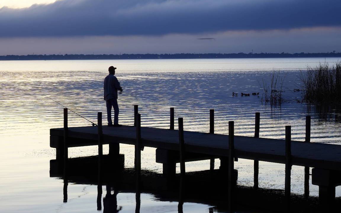Photo of Others in Zephyrhills