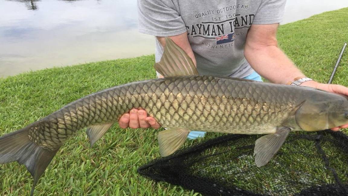 Photo of Others in Lake Berkley
