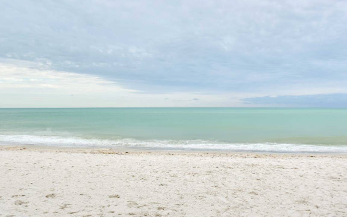 Photo of Others in St. Pete Beach